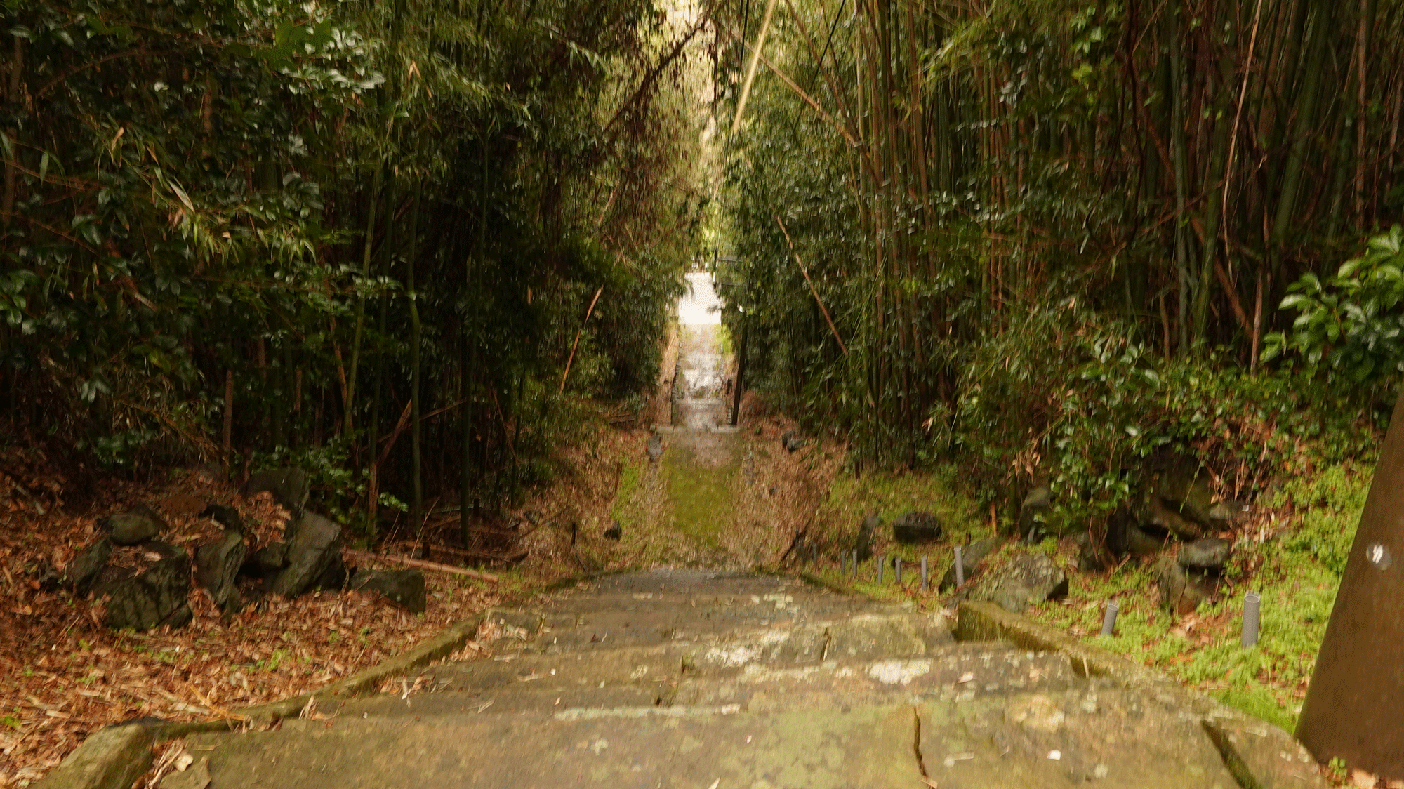 石段を見下ろす